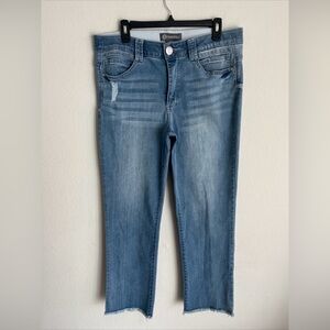 Democracy “Ab” Jeans Women Size 14 Medium Wash
